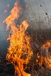 Similar image 6241817