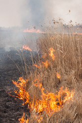 Similar image 6241822