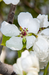 Similar image 6241831