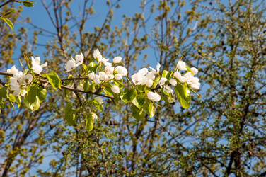 Similar image 6241832