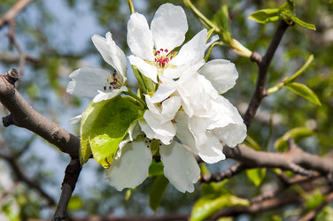 Similar image 6241833