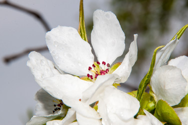 Similar image 6241835