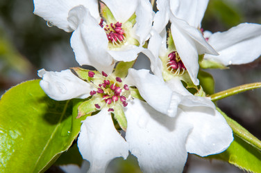 Similar image 6241836