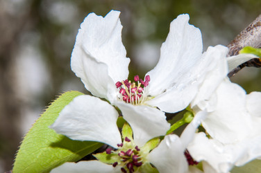 Similar image 6241837