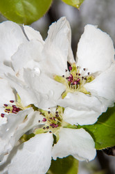 Similar image 6241839