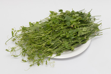 Similar image 6241842