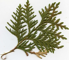 Similar image 6242068