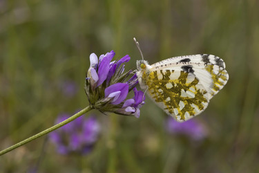 Similar image 6242069