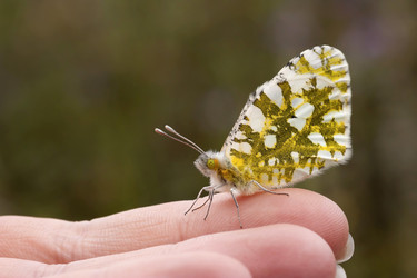 Similar image 6242071