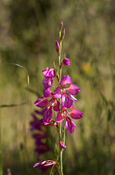 Similar image 6242075