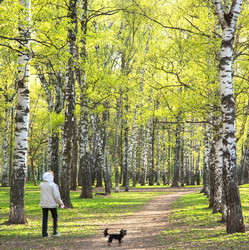 Similar image 6242076