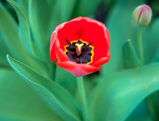 Similar image 6242077