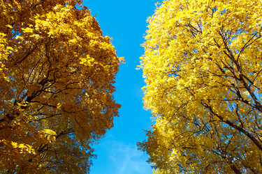 Similar image 6242104