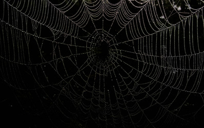 Similar image 6242115