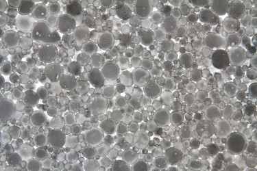 Similar image 6242151