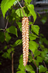 Similar image 6242173