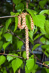 Similar image 6242174