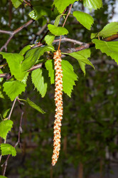 Similar image 6242175