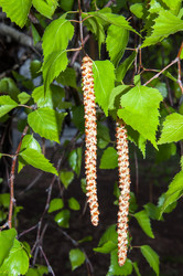 Similar image 6242177