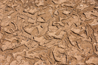 Similar image 6242179