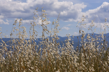 Similar image 6242180