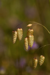 Similar image 6242182