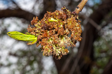 Similar image 6242194