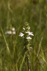 Similar image 6242205