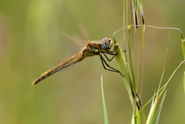 Similar image 6242206