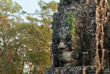 Similar image 6242250