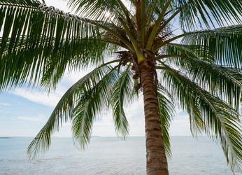 Similar image 6242286