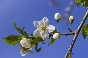 Similar image 6242426