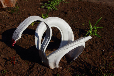 Similar image 6242499