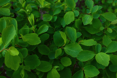 Similar image 6242517