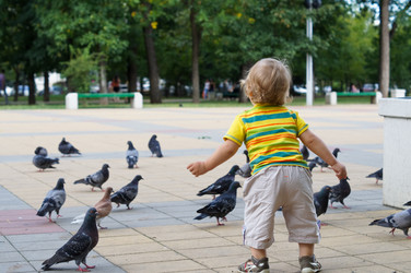 Similar image 6242909