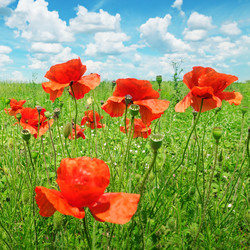 Similar image 6242917