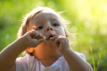 Similar image 6242958