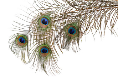 Similar image 6243058