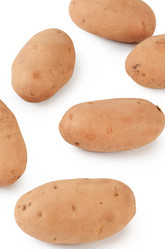 Similar image 6243100