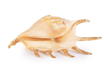 Similar image 6243123