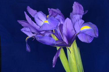 Similar image 6243141