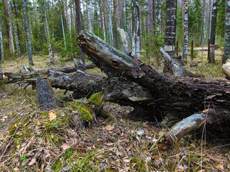 Similar image 6243159