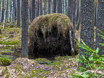 Similar image 6243160