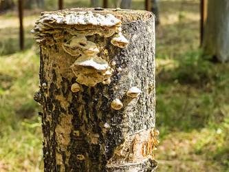 Similar image 6243163