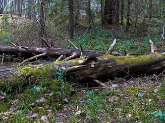 Similar image 6243167