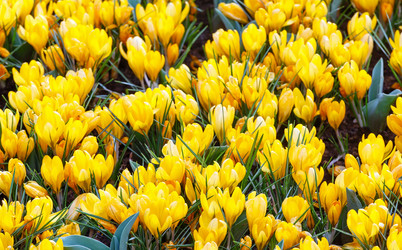 Similar image 6243201