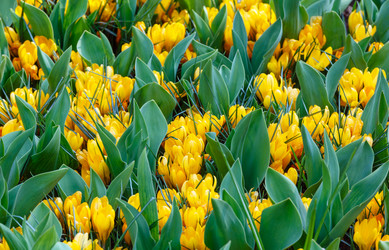 Similar image 6243209