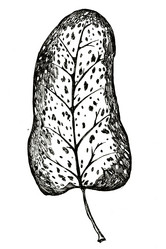 Similar image 6243211