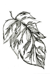 Similar image 6243212