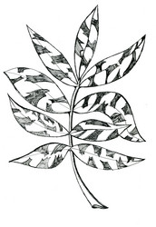 Similar image 6243214